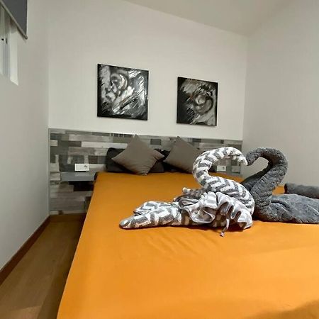 Apartamento La Mareta 阿雷西费 外观 照片