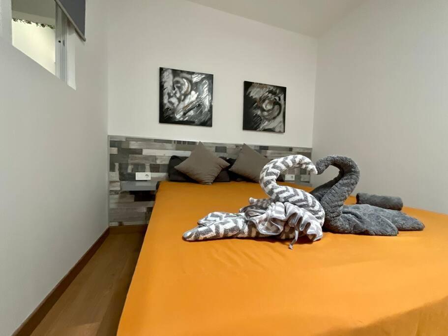 Apartamento La Mareta 阿雷西费 外观 照片