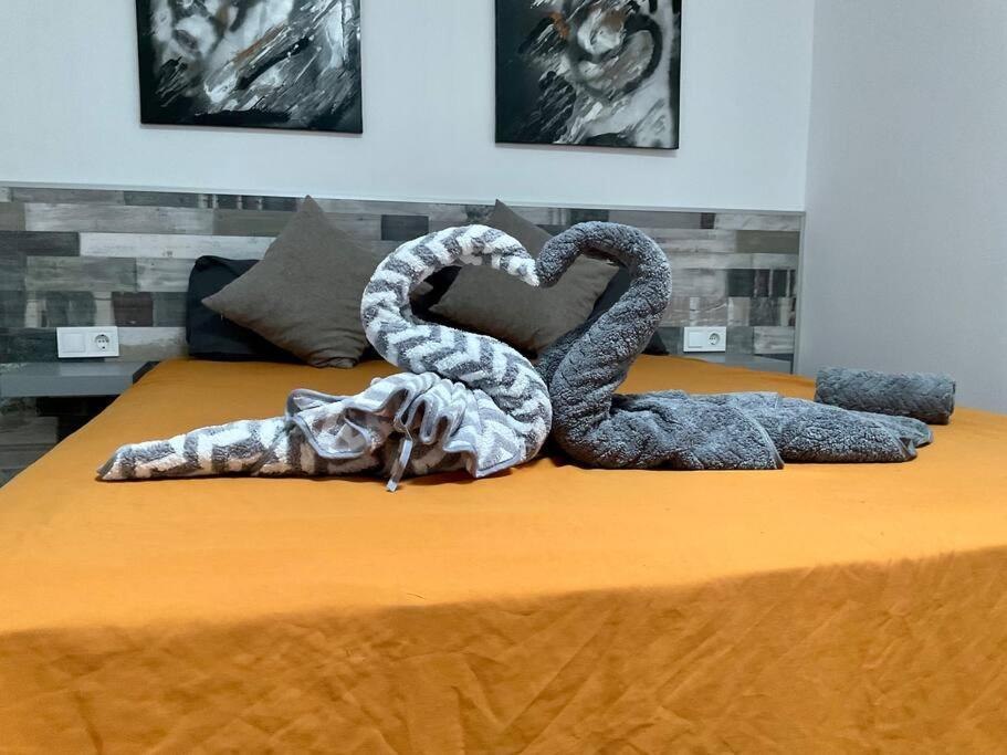 Apartamento La Mareta 阿雷西费 外观 照片